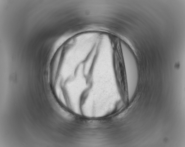 X0000090721371200708171918