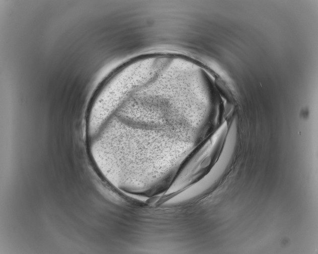 X0000090721372200708171918