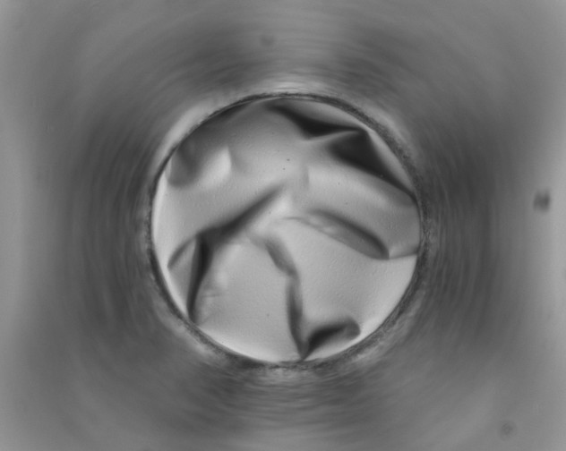 X0000090721374200708171918