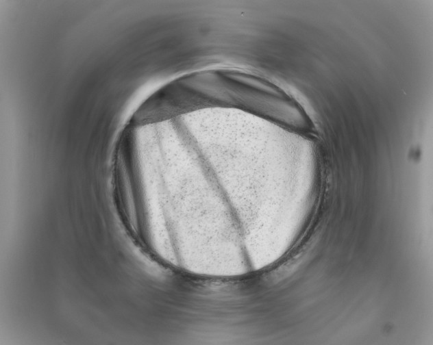 X0000090721375200708171918