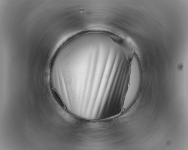 X0000090721376200708171918