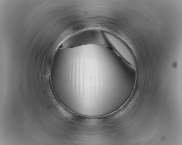 X0000090721377200708171918