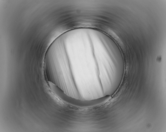 X0000090721378200708171918