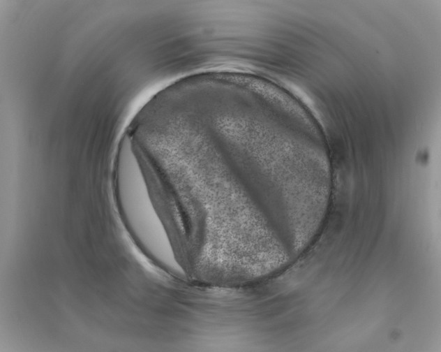 X0000090721379200708171918