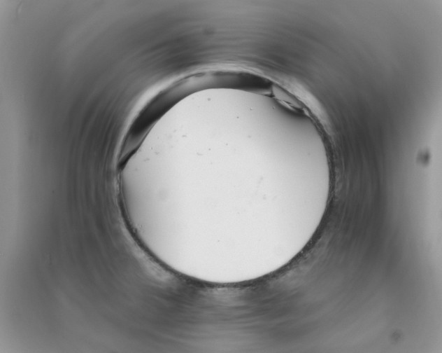 X0000090721380200708171917