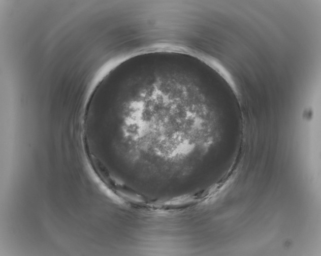 X0000090721381200708171917