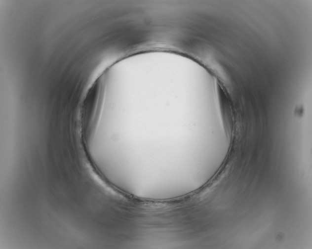 X0000090721382200708171917