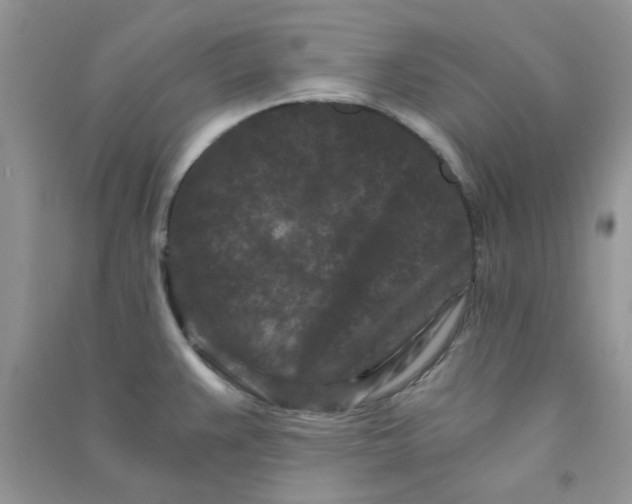 X0000090721383200708171917