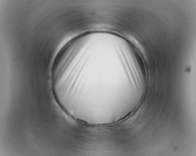 X0000090721384200708171917