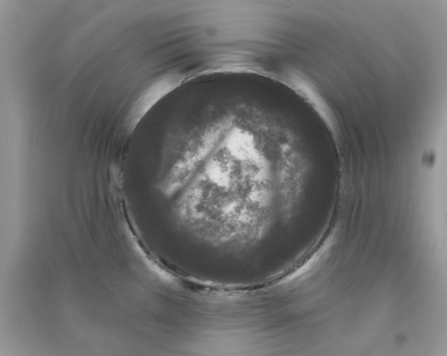 X0000090721385200708171917