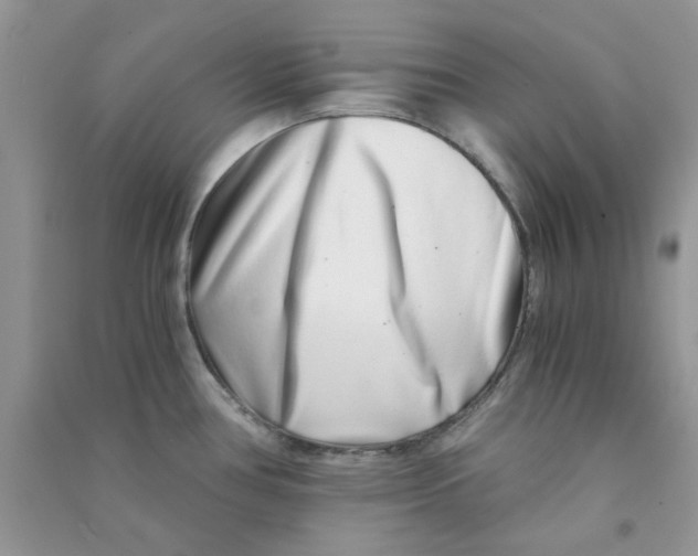 X0000090721386200708171917