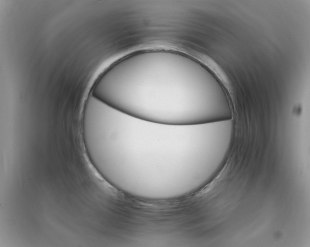 X0000090721388200708171917