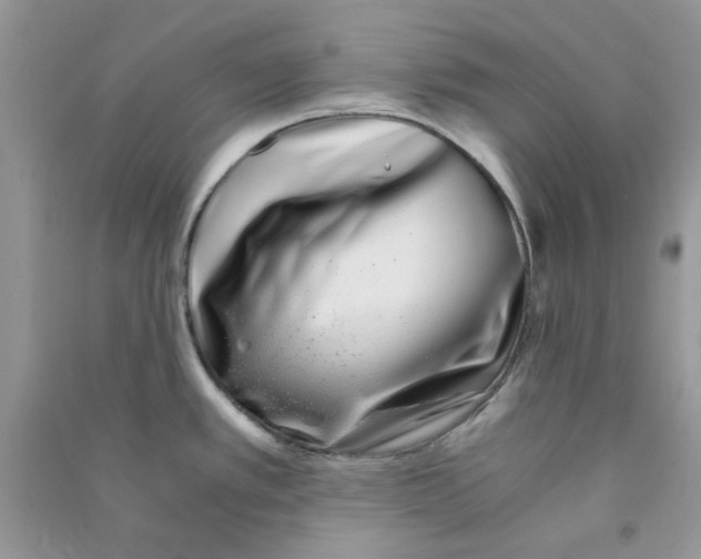 X0000090721389200708171917