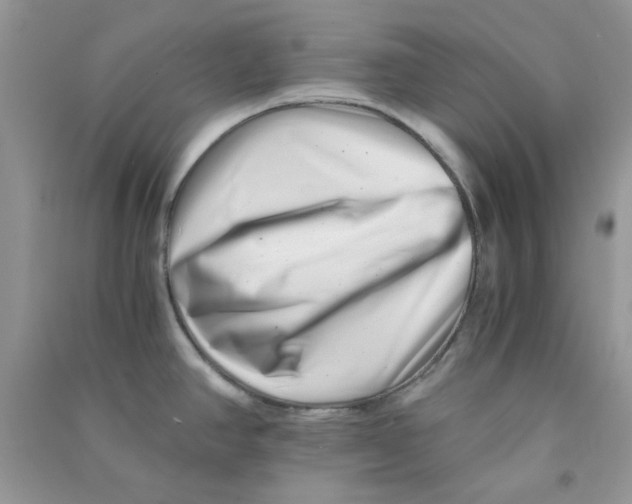 X0000090721390200708171917