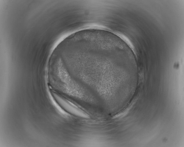 X0000090721391200708171917