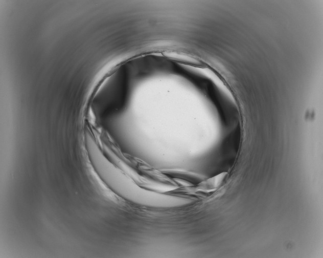 X0000090721392200708171917