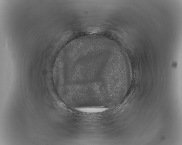 X0000090721393200708171917