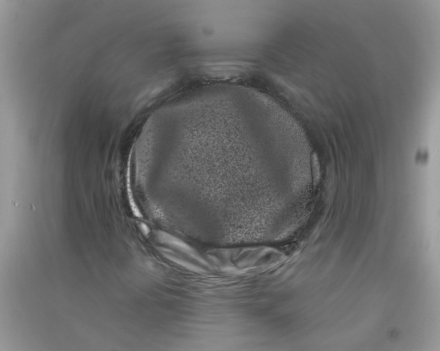 X0000090721394200708171917