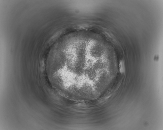 X0000090721395200708171917