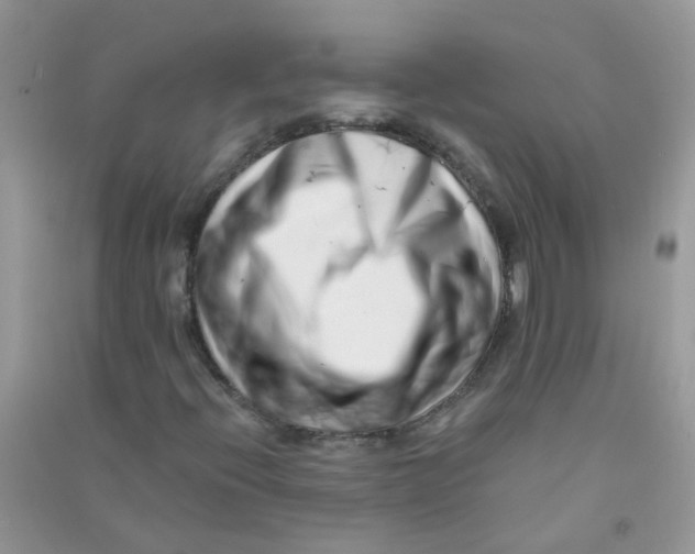 X0000090721396200708171917