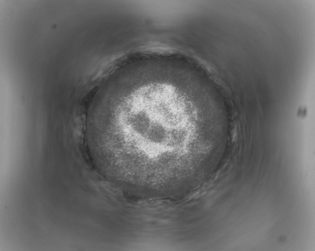 X0000090721397200708171917