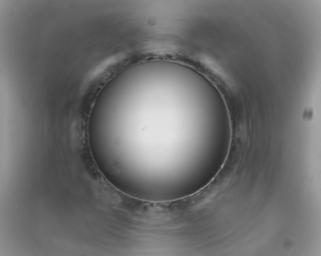 X0000090721398200708171917