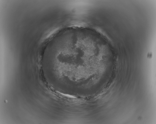 X0000090721399200708171917