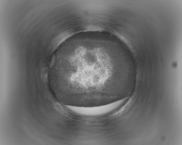 X0000090721401200708171917