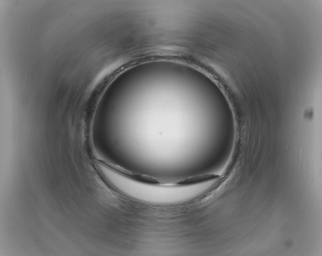 X0000090721402200708171917