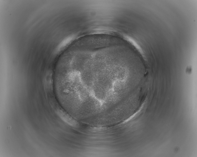 X0000090721403200708171917