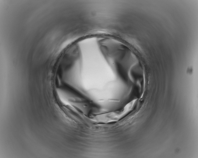 X0000090721404200708171917