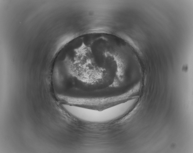 X0000090721405200708171917