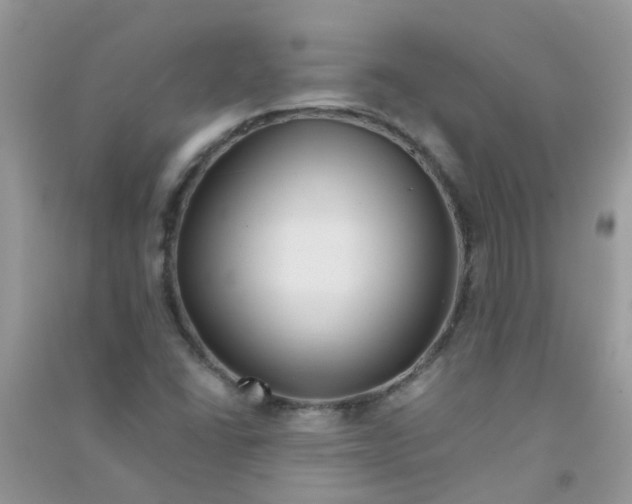 X0000090721406200708171917