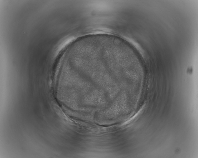 X0000090721407200708171917