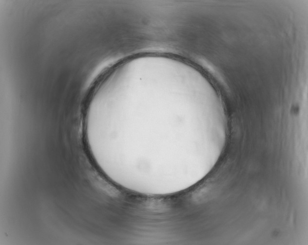 X0000090721408200708171917