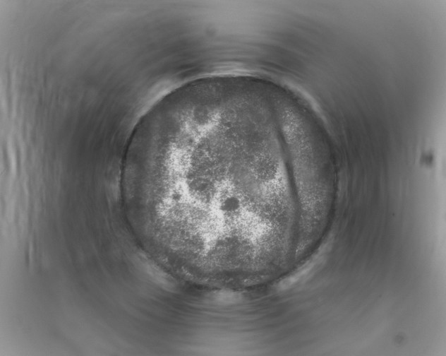 X0000090721409200708171917