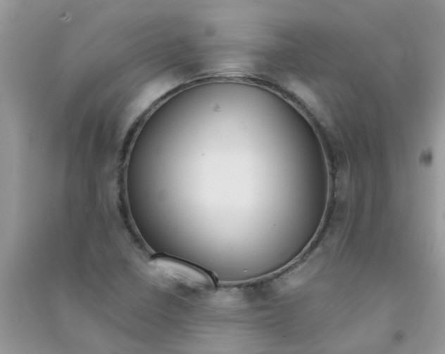 X0000090721410200708171917