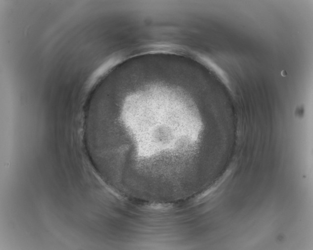 X0000090721411200708171917