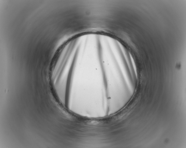 X0000090721412200708171917