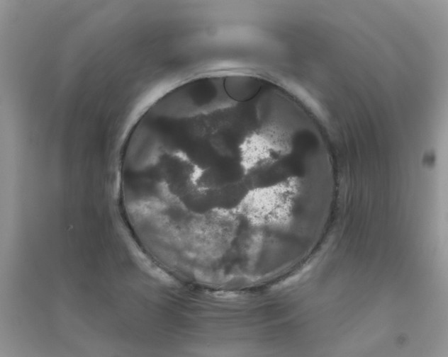 X0000090721413200708171917