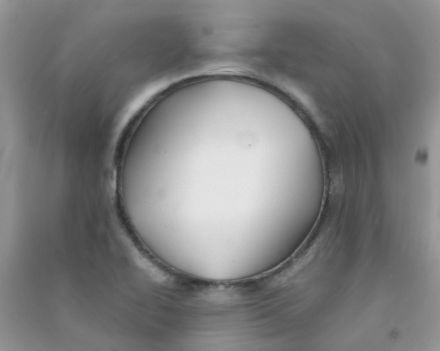 X0000090721414200708171917