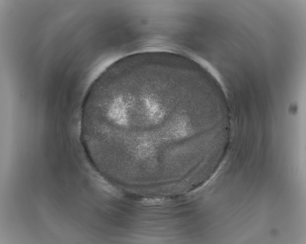 X0000090721415200708171917