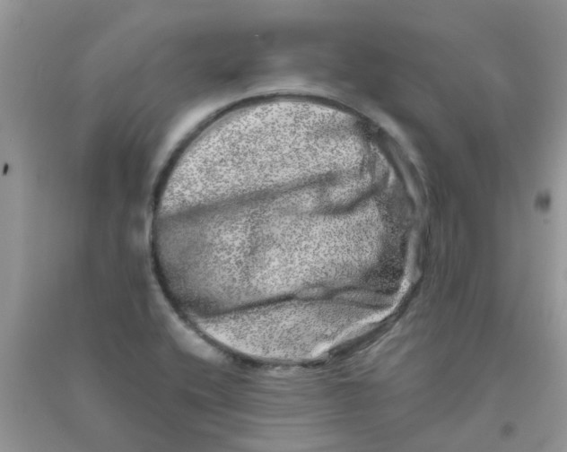 X0000090721416200708171917