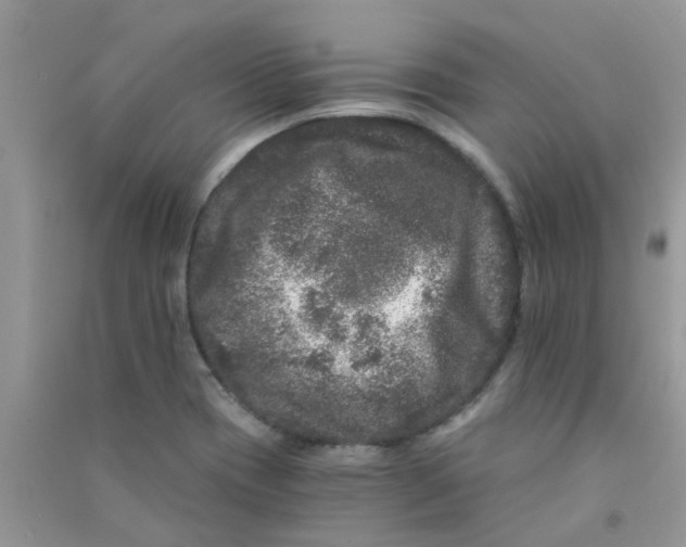 X0000090721417200708171917