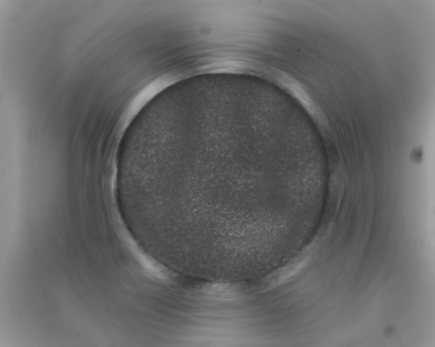 X0000090721418200708171917