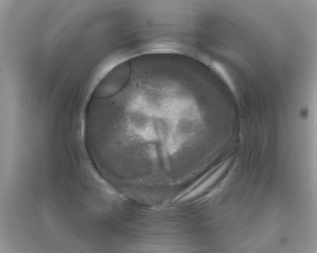 X0000090721419200708171917