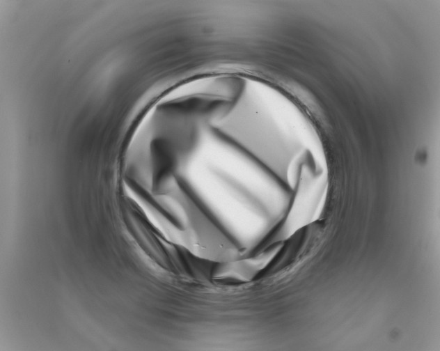 X0000090721420200708171917