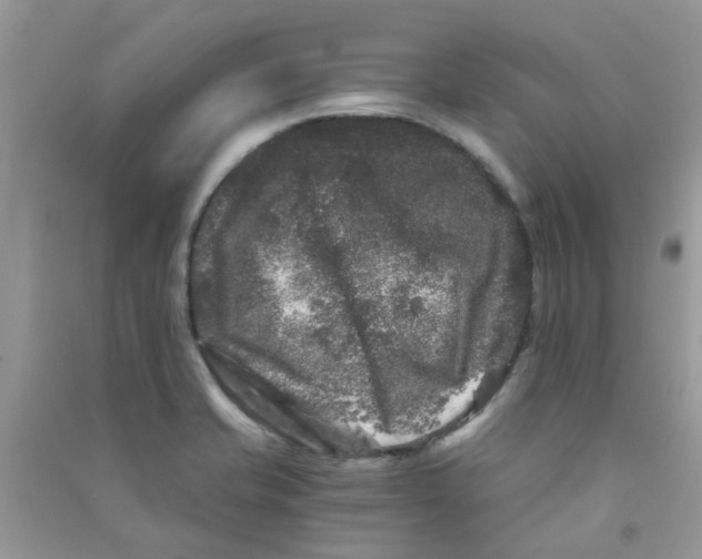 X0000090721421200708171917