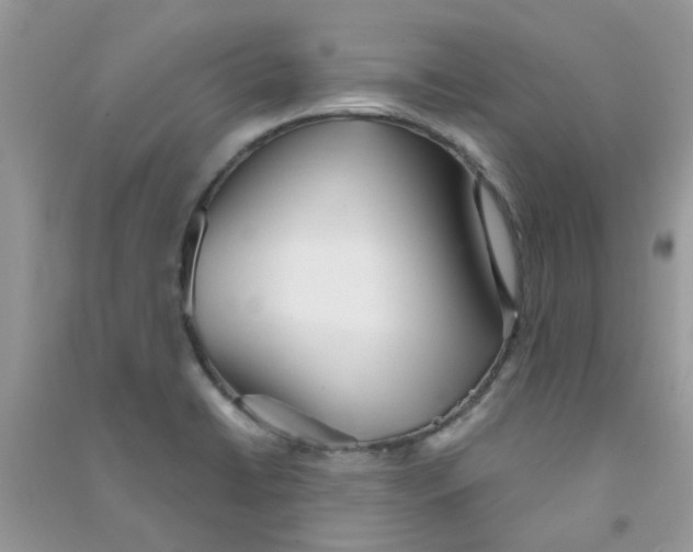 X0000090721422200708171917