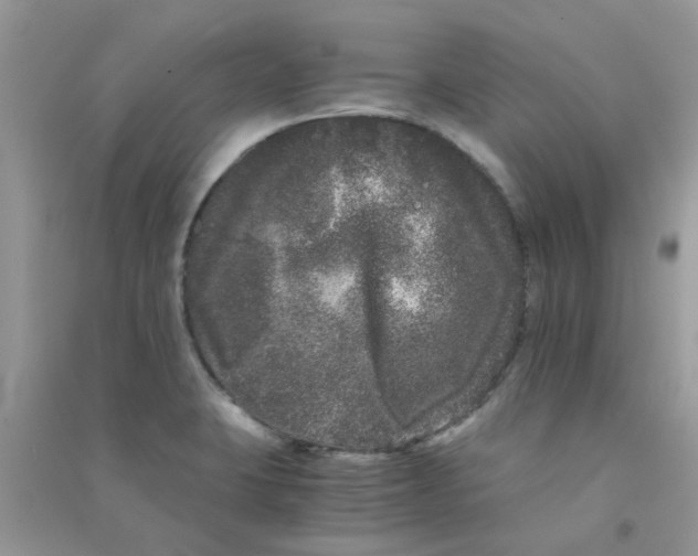 X0000090721423200708171917